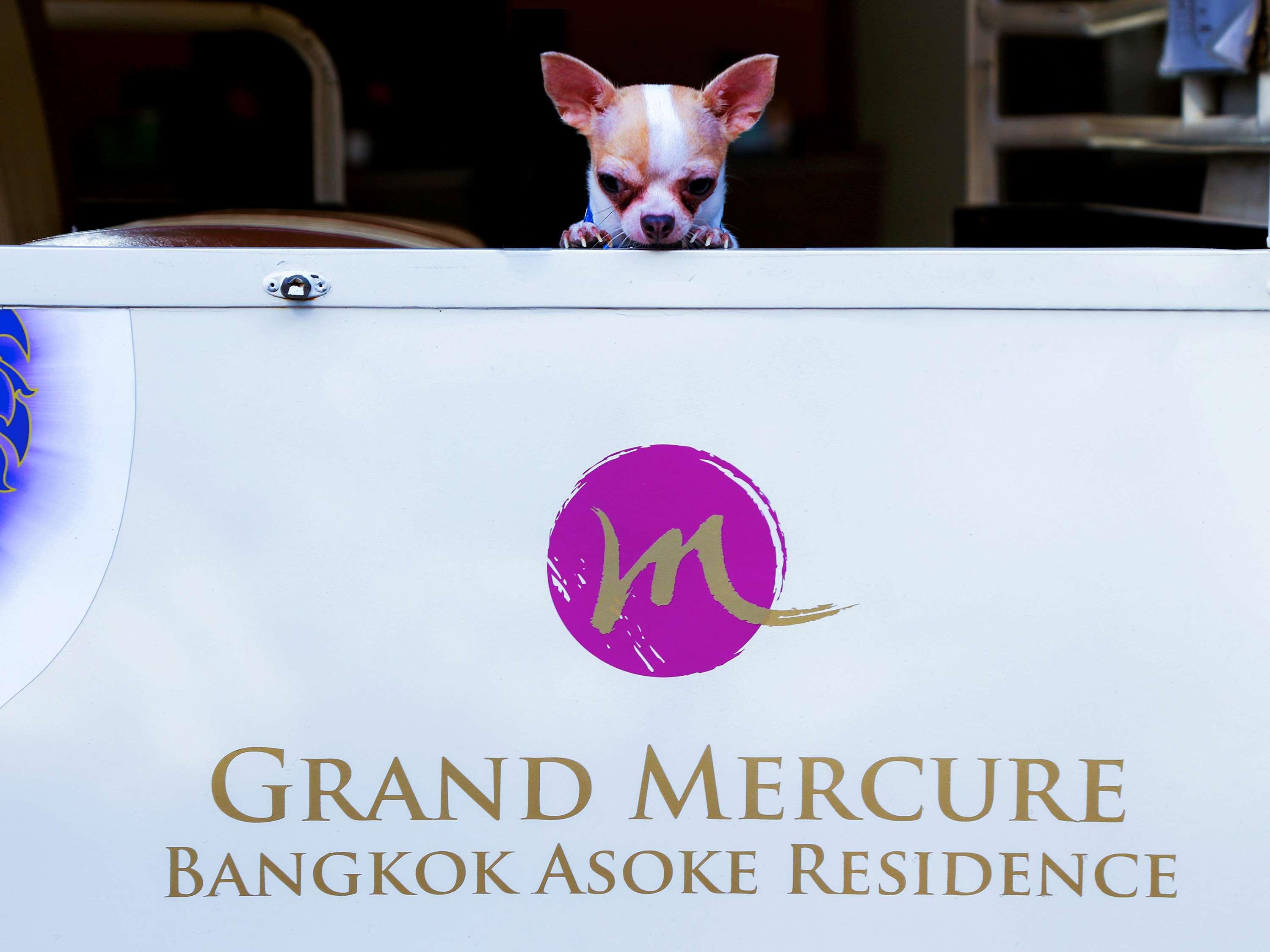 Grand Mercure Bangkok Asoke Residence Buitenkant foto